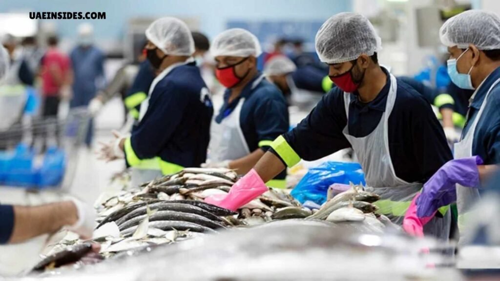 Geographical Location of Al Karama Fish Market